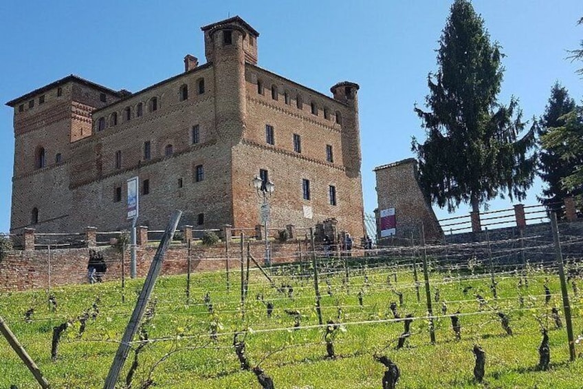 Museo delle Langhe Entrance Ticket