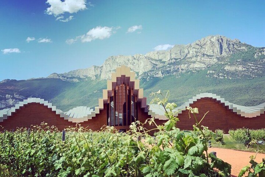 Architectural Rioja Wine Tour from Bilbao (small group & lunch included)