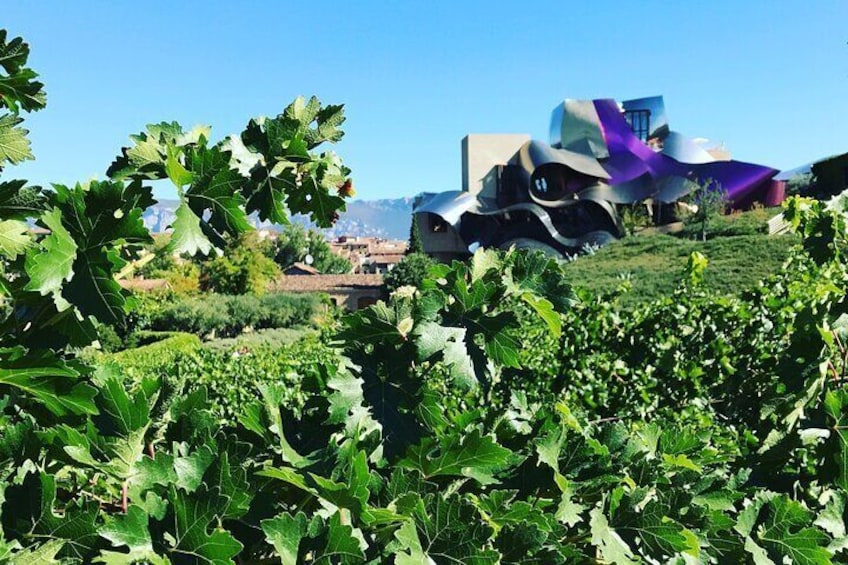 Architectural Rioja Wine Tour from Bilbao (small group & lunch included)