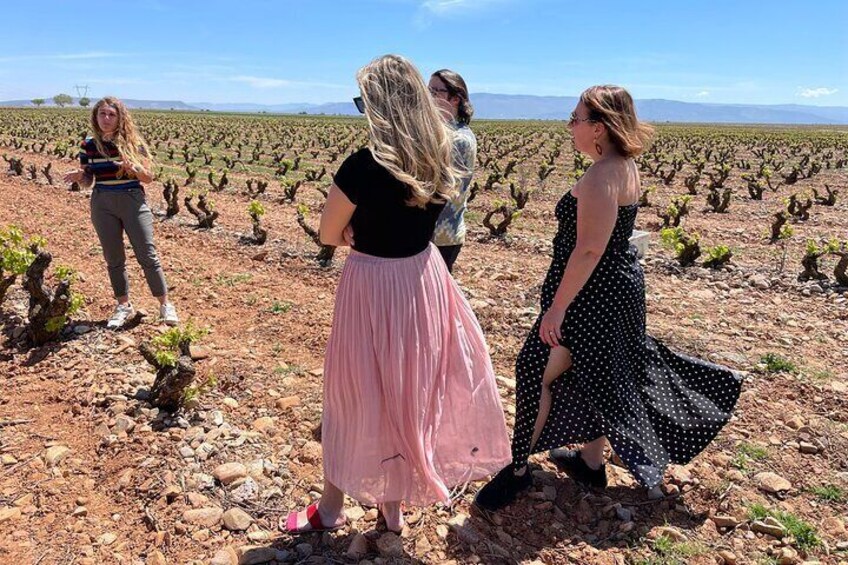 La Rioja Boutique Wine Tour - 2 Wineries & Picnic Lunch (From Bilbao)