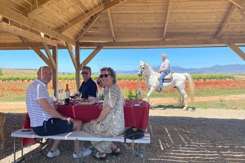 La Rioja Boutique Wine Tour - 2 Wineries & Picnic Lunch (From Bilbao)