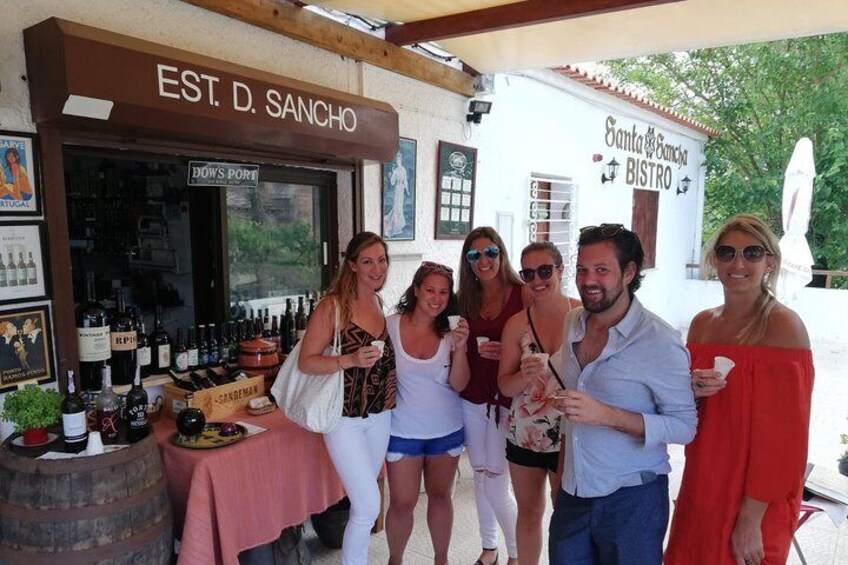 Small group Wine Tasting Tour from Albufeira