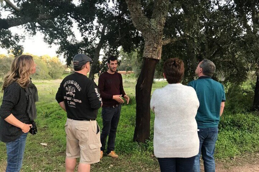 Small group Wine Tasting Tour from Albufeira