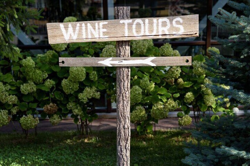 Small group Wine Tasting Tour from Albufeira