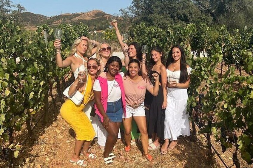 Small group Wine Tasting Tour from Albufeira