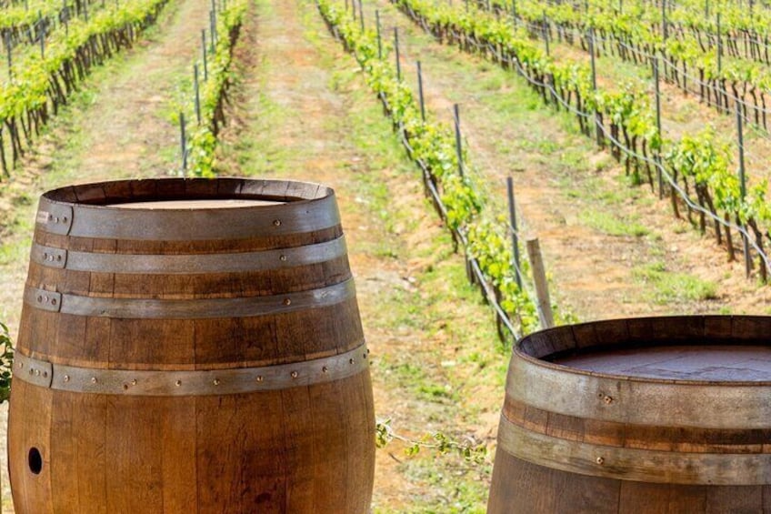 Small-Group Wine Tour & Silves Exploration (from Albufeira)