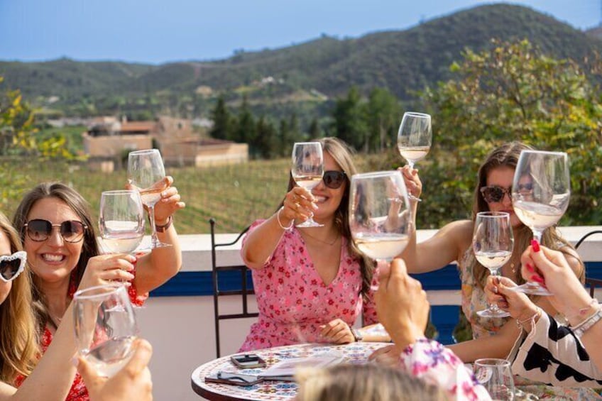 Small group Wine Tasting Tour from Albufeira