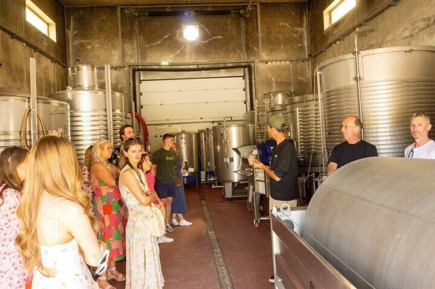 Full-Day Tour of Algarve Wineries from Albufeira