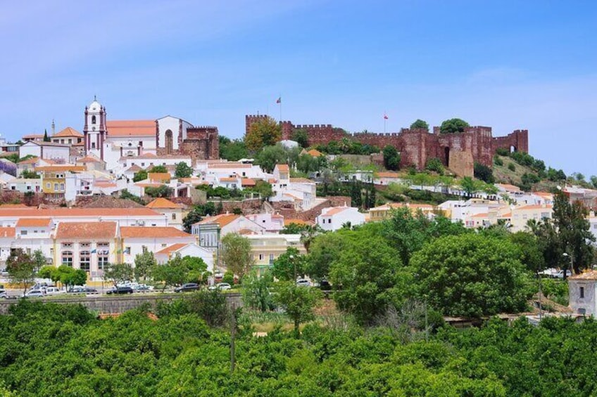 full day Wine Tour from Albufeira