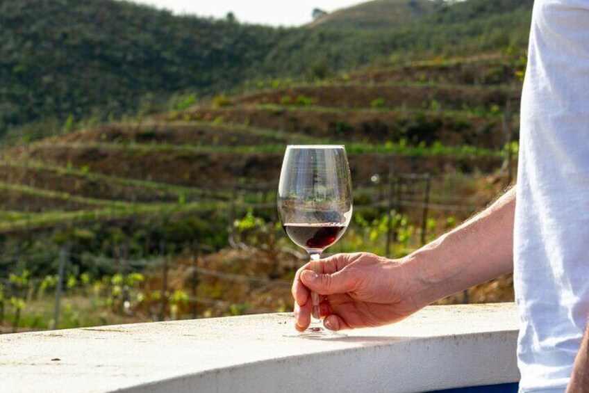 Full-Day Tour of Algarve Wineries from Albufeira