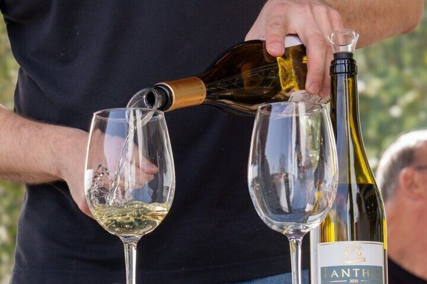 full day Wine Tour from Albufeira