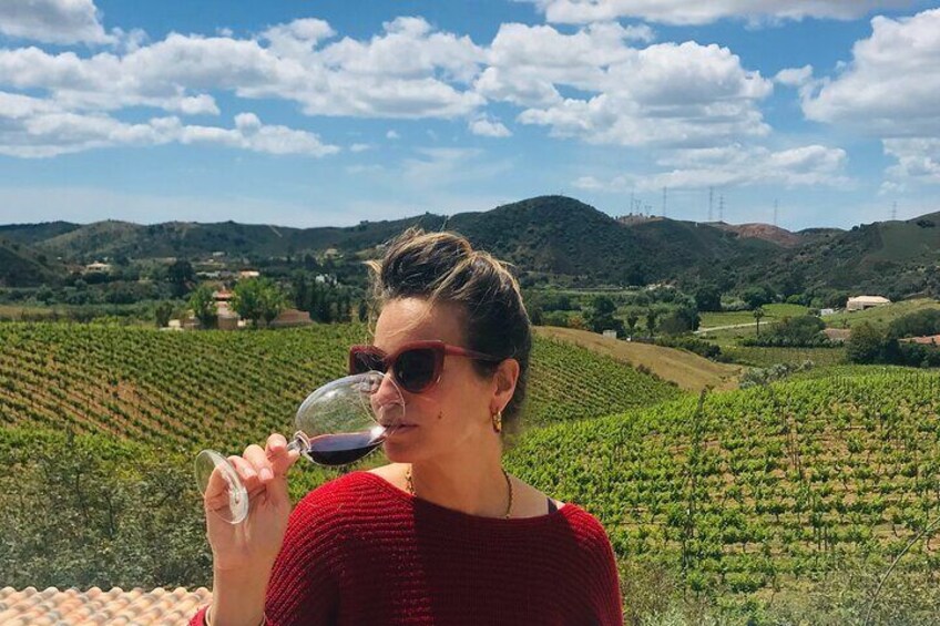 full day Wine Tour from Albufeira