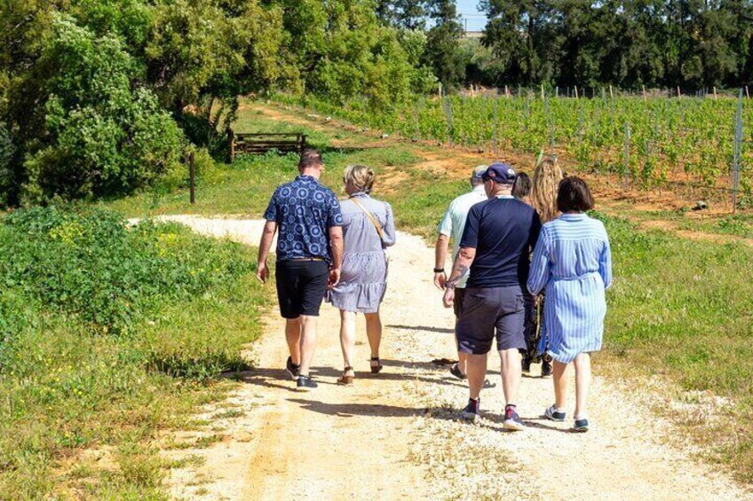 Full-Day Tour of Algarve Wineries from Albufeira