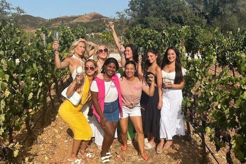 full day Wine Tour from Albufeira