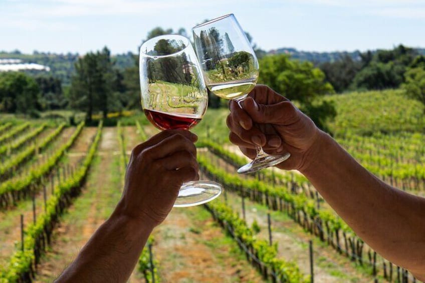 Full-Day Tour of Algarve Wineries from Albufeira