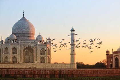Private Agra Sightseeing-Tour mit dem Auto und dem Fahrer
