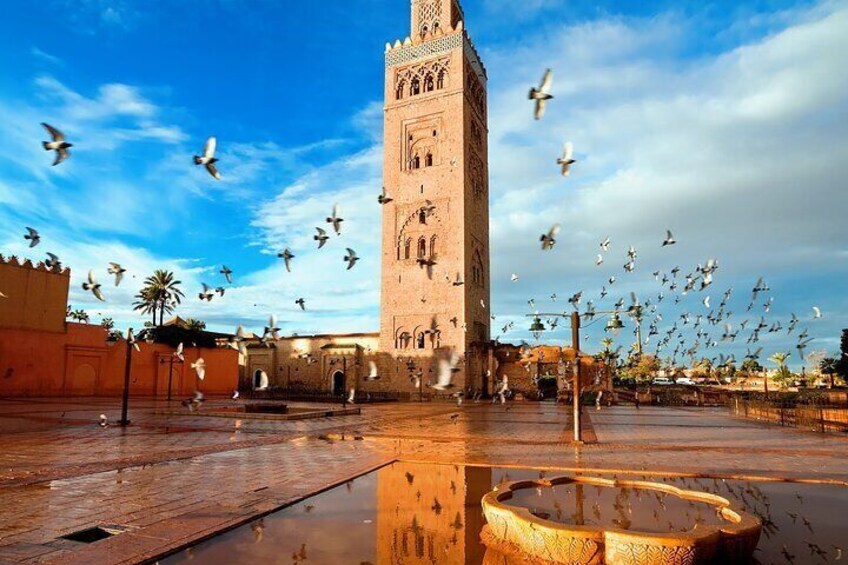 Marrakech Full Day Guided City Tour - Private Tour