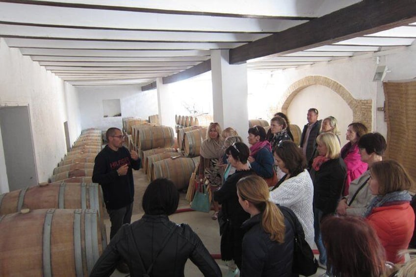 we also visit the cellars with the wine barrels