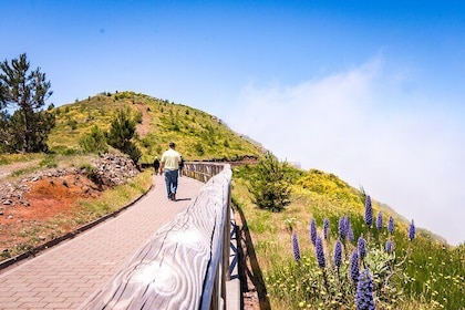 Östlich von Madeira | Ganztägige 4x4-Tour