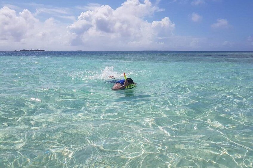 Natural swimming pool