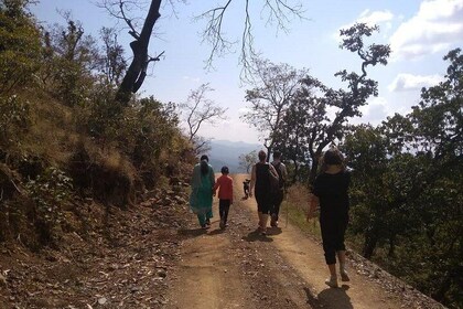 Patho Village Trek - A Short Trek ( 4 hrs ) in Rishikesh