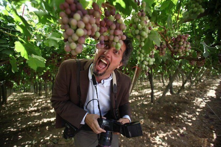 Show item 4 of 11. Seedless Grapes Farm Tour