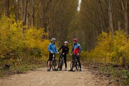 Obedska Bara Bike Tour