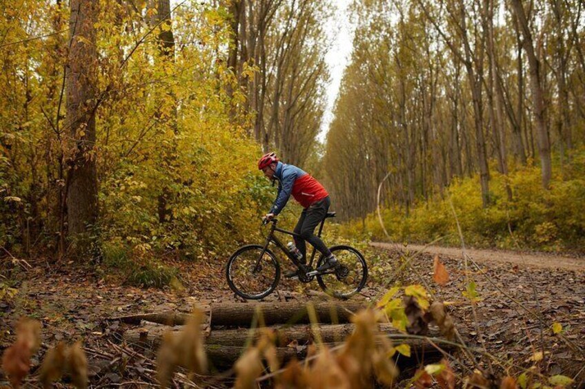 Obedska bara Bike Tour