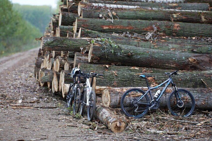 Obedska bara Bike Tour