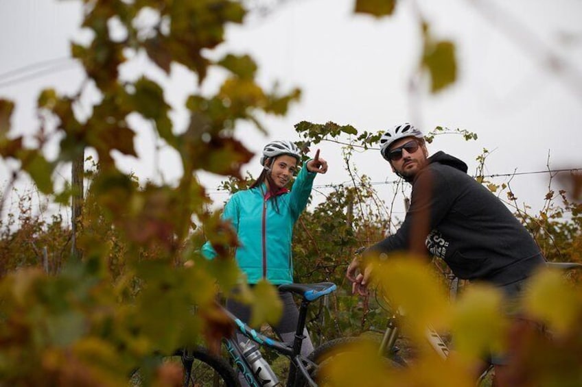 Half Day Bike Tour of Historic Stari Slankamen