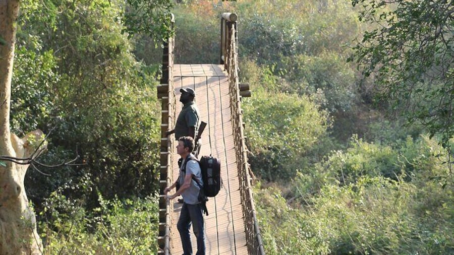 Fig Forest Walk, uMkhuze Game Reserve