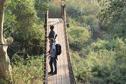 Mkuze (uMkhuze) Fig Forest Walk