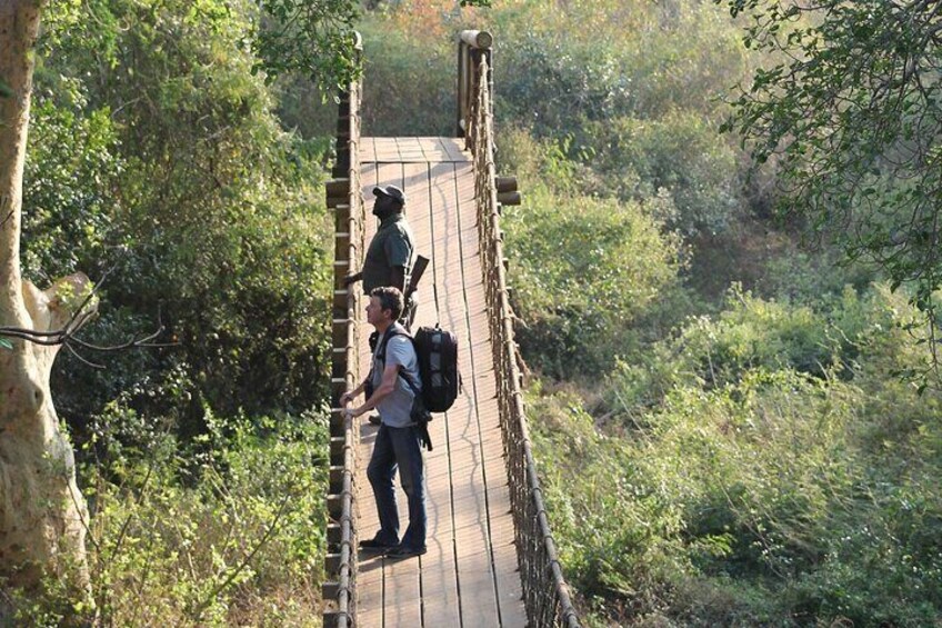 Fig Forest Walk, uMkhuze Game Reserve