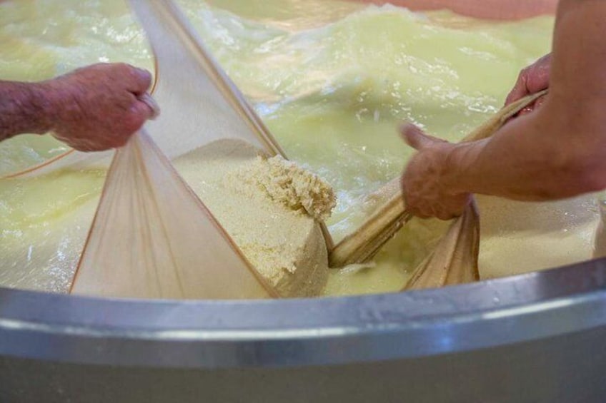 Parmigiano Reggiano cheese factory Tour and Tasting for small groups