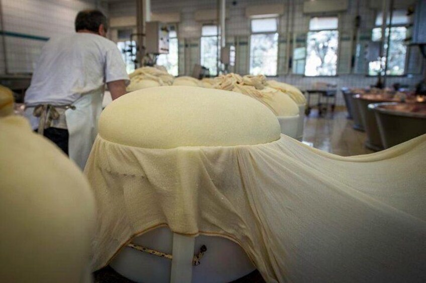 Parmigiano Reggiano cheese factory Tour and Tasting for small groups