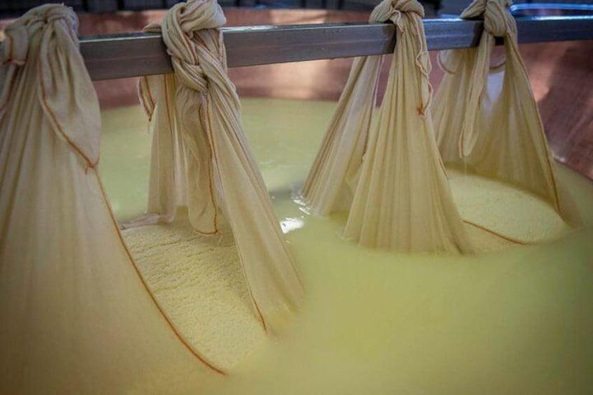 Parmigiano Reggiano cheese factory Tour and Tasting for small groups