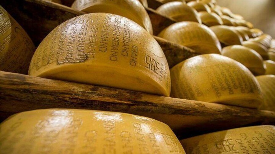Parmigiano Reggiano Cheese Factory Tour & Tasting Experience