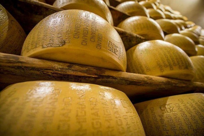 Parmigiano Reggiano cheese factory Tour and Tasting