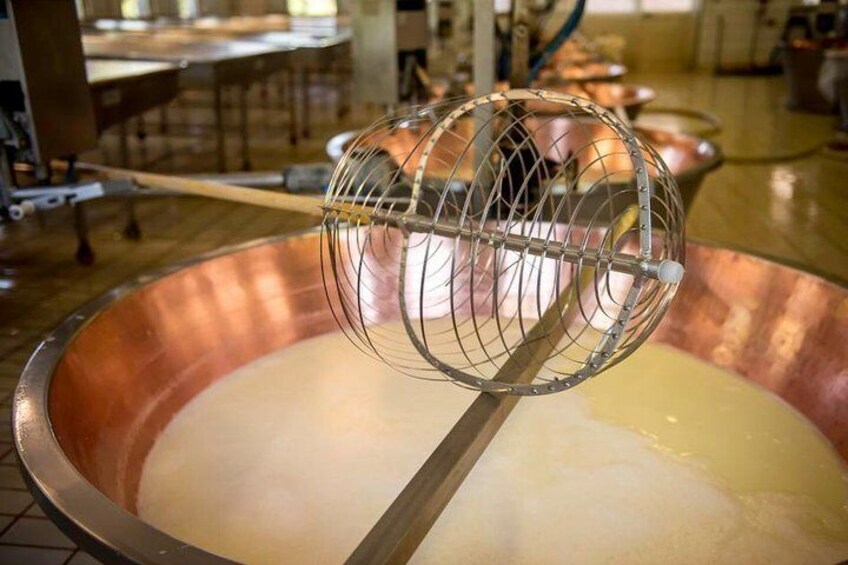 Parmigiano Reggiano cheese factory Tour and Tasting for small groups