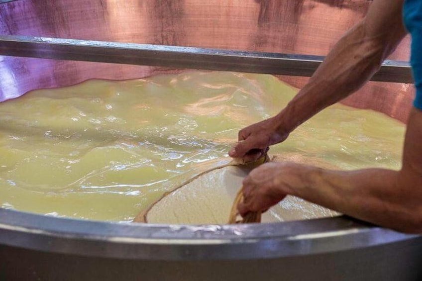 Parmigiano Reggiano cheese factory Tour and Tasting for small groups