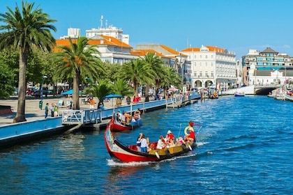 Aveiro and Costa Nova Half Day Tour from Porto with Boat Ride