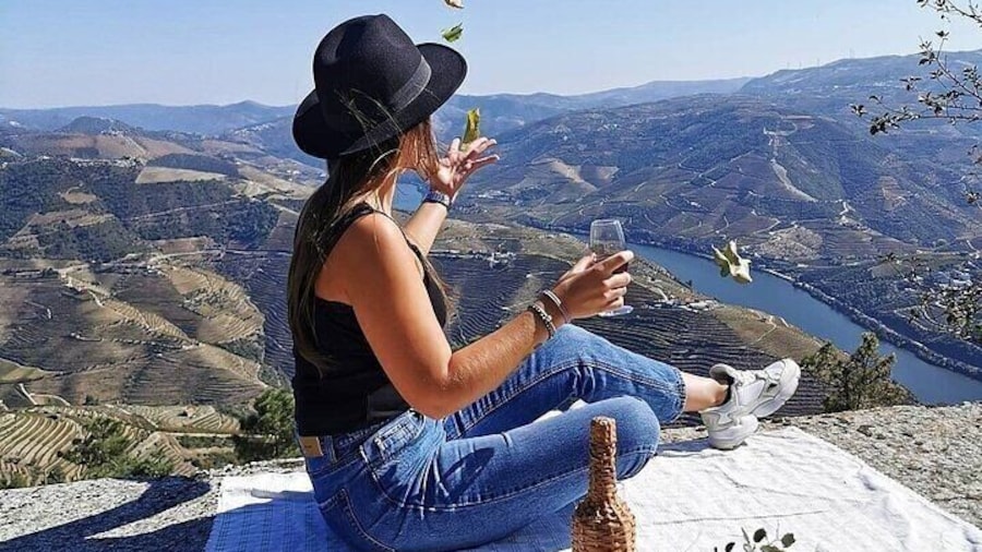 Douro Valley: Historical Sites, Wine Experience, Lunch & Cruise
