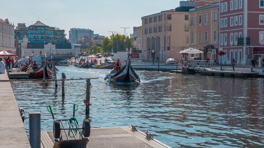 Aveiro and Costa Nova: Private Tour with Moliceiro Cruise Half Day