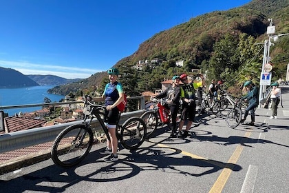 Tour en bicicleta eléctrica por el lago de Como y los viñedos suizos