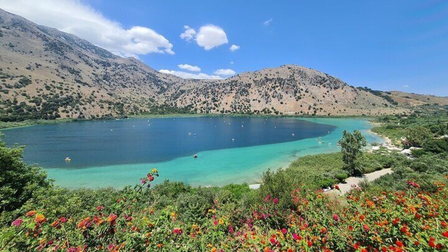 Private half day Wine and Olive oil tasting-Kournas lake