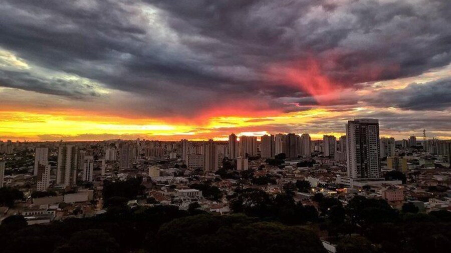Hang out with locals in Sao Paulo