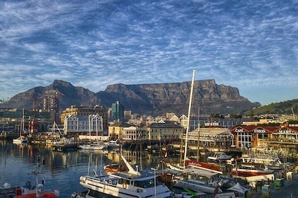 Cape Town Like a Local: Customised Private Tour