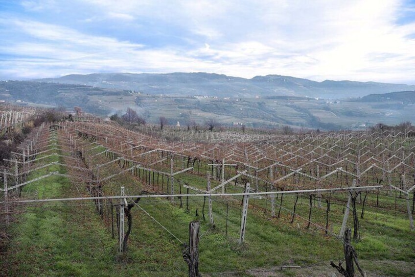 Private Tour from Venice, Italy to Salzburg, Austria