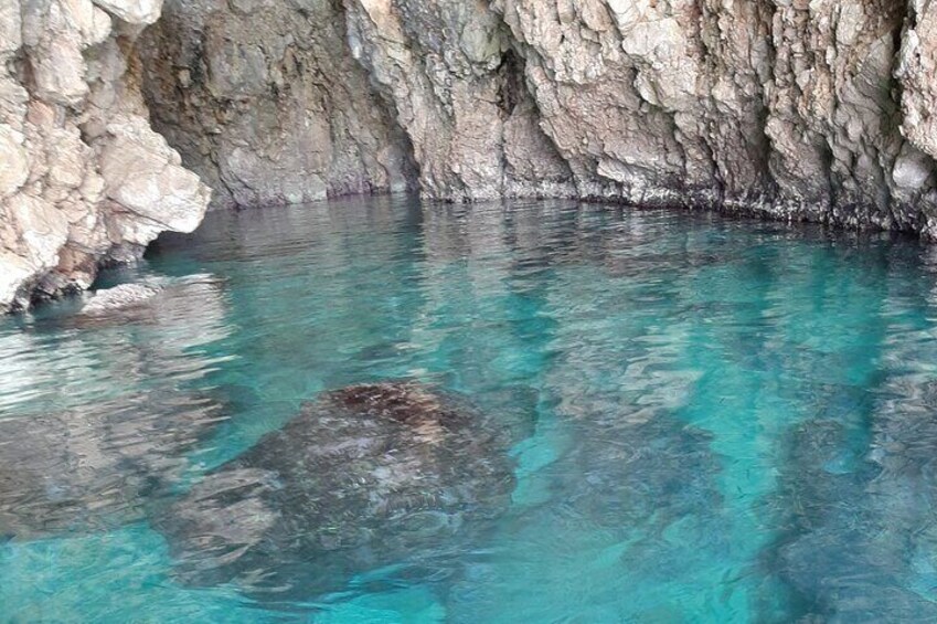 Kotor Speed Boat Tour