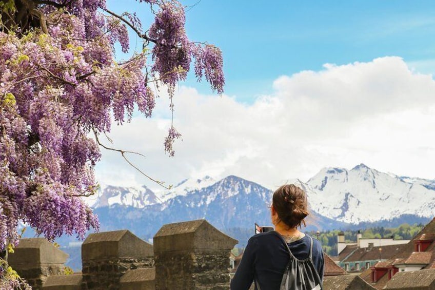 Lucerne's Past and Present with Local